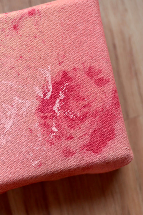 A Dozen Roses- 12 mini paintings