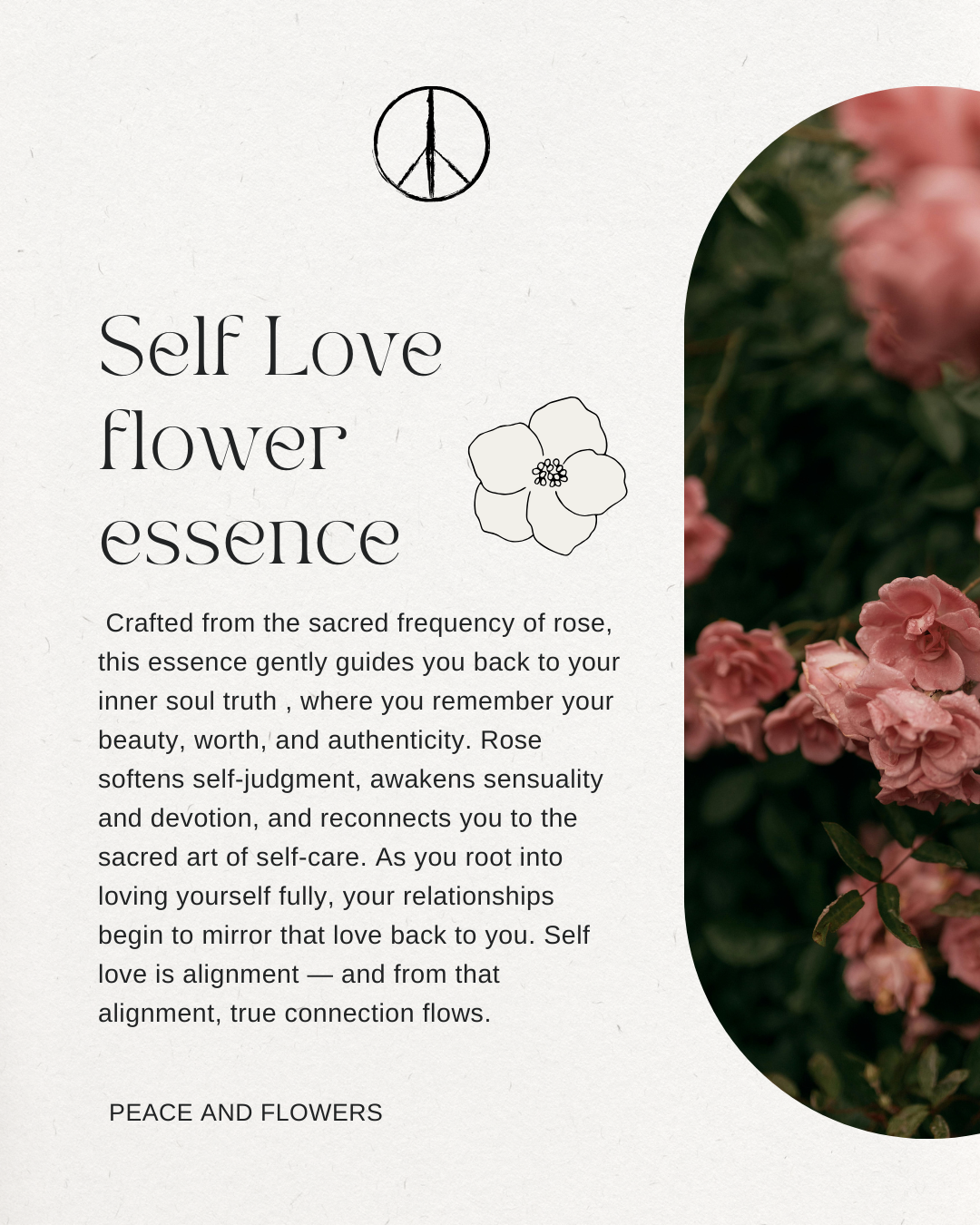Self Love Flower Essence - Rose Flower Essence