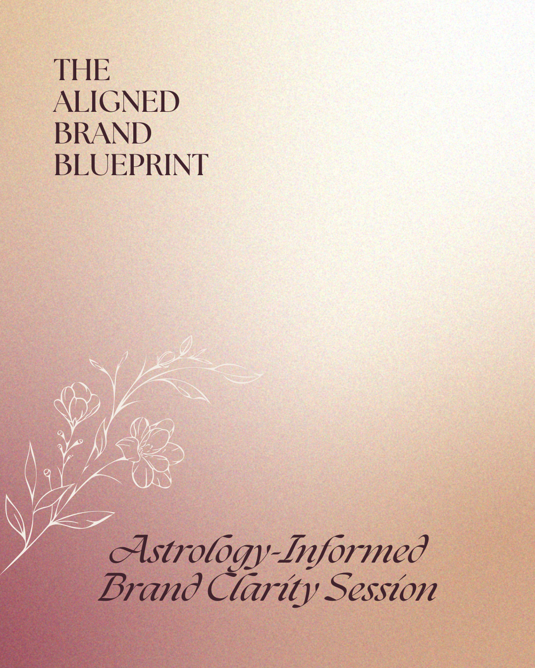 The Aligned Brand Blueprint - limited summer spots